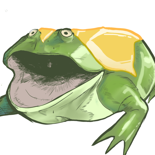 Frog Beer
