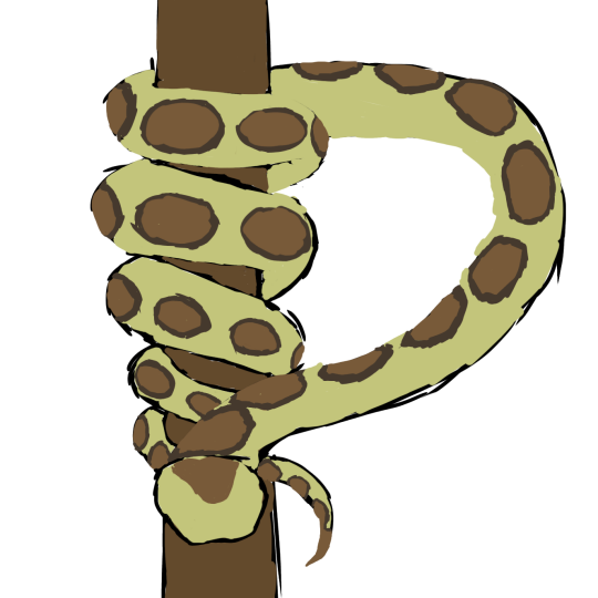 Pythonogram