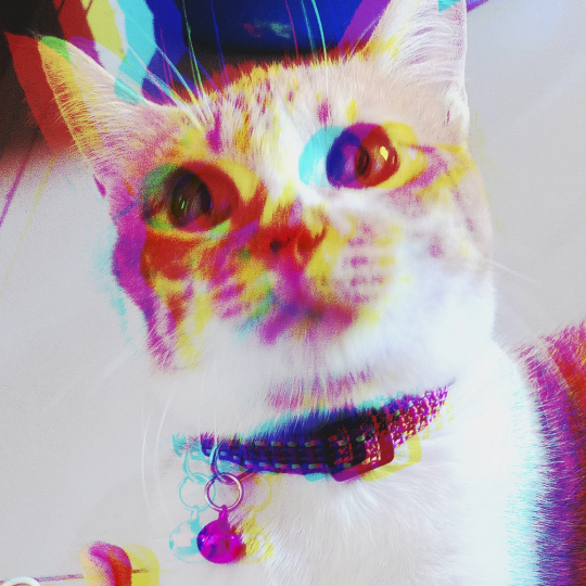 Orange Nek0