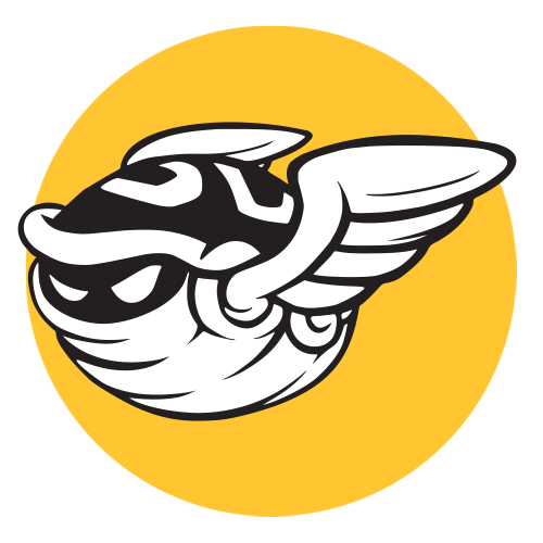 Bullet Turtle Studio