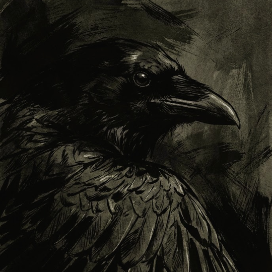 SHADOW OF THE RAVEN