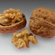 The Walnuts