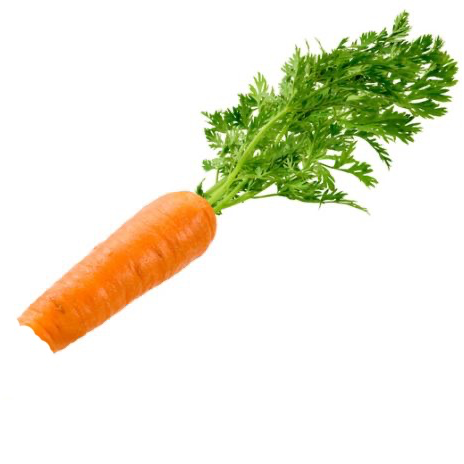 thehalfeatencarrot