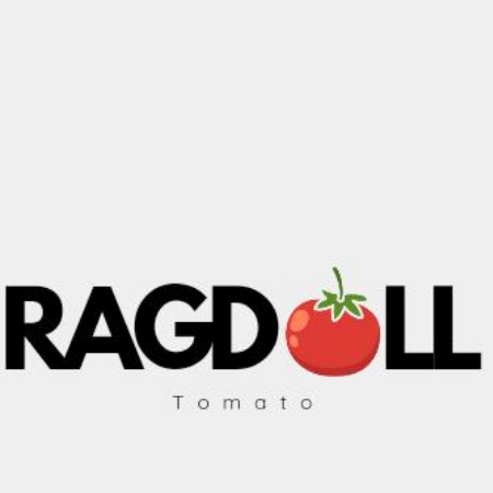 RAGDOLL TOMATO