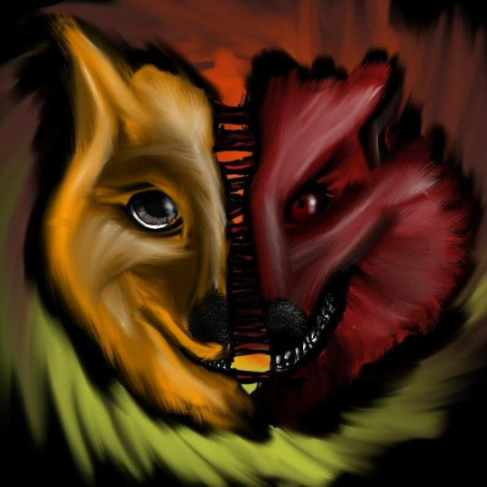 The Storyhunter Pack