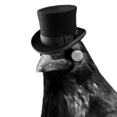 dr_rav3n