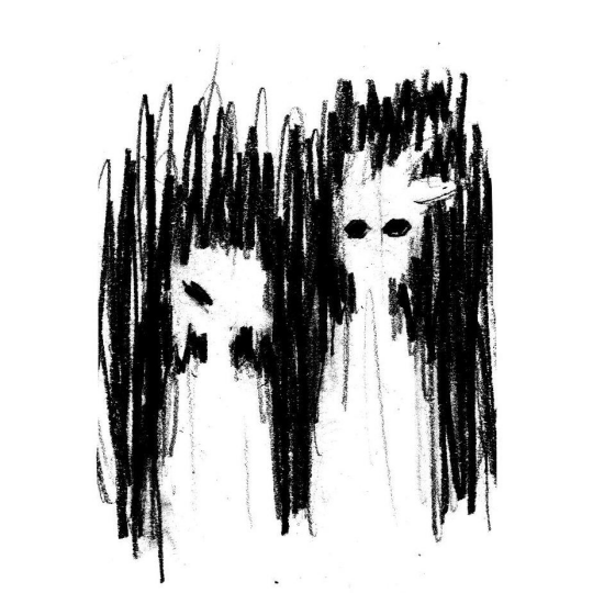 Paranoia Ray Studios