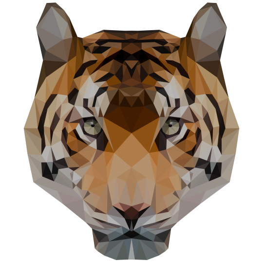 Tiger Byte Studios