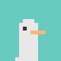 Project: Seagull
