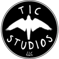 TIC STUDIOS LLC