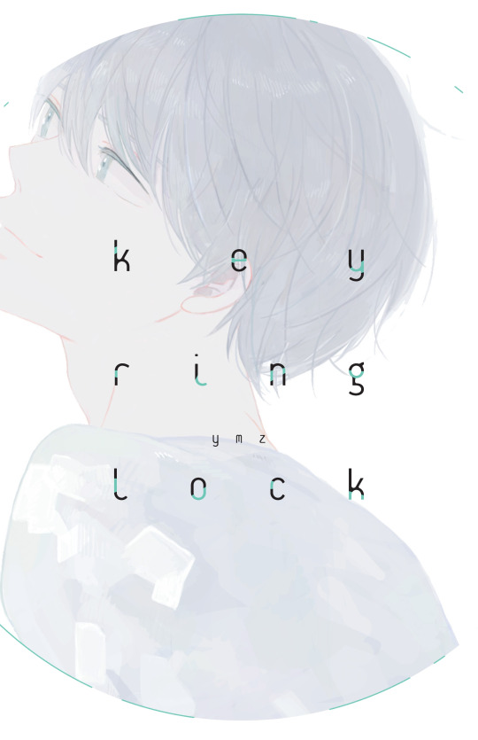 Key Ring Lock