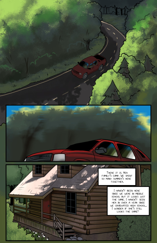 The Visitor