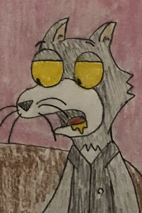 Rocky the Cat 