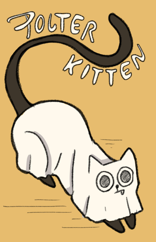 Polter Kitten