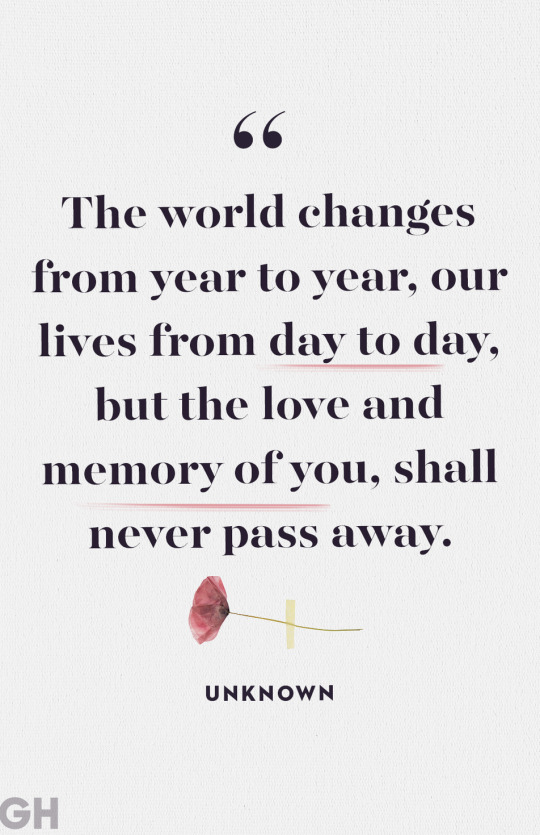 The Memory 