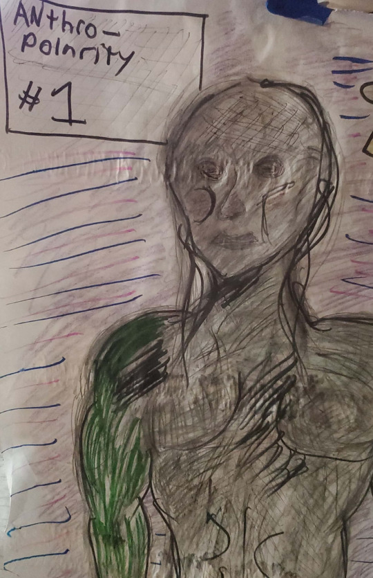 Anthropolarity