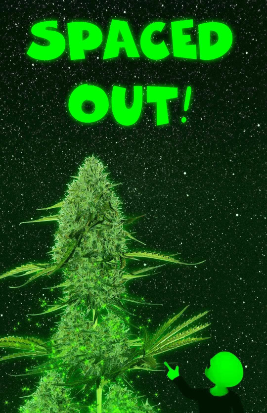 Spaced Out!