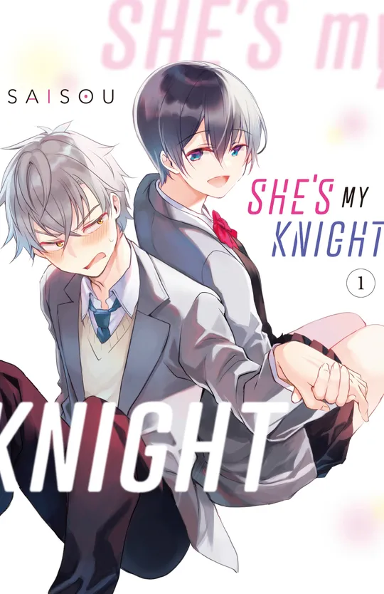 She's My Knight