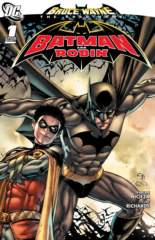 Bruce Wayne: The Road Home (2010)