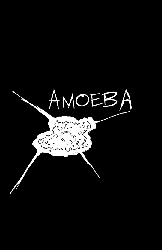 Amoeba