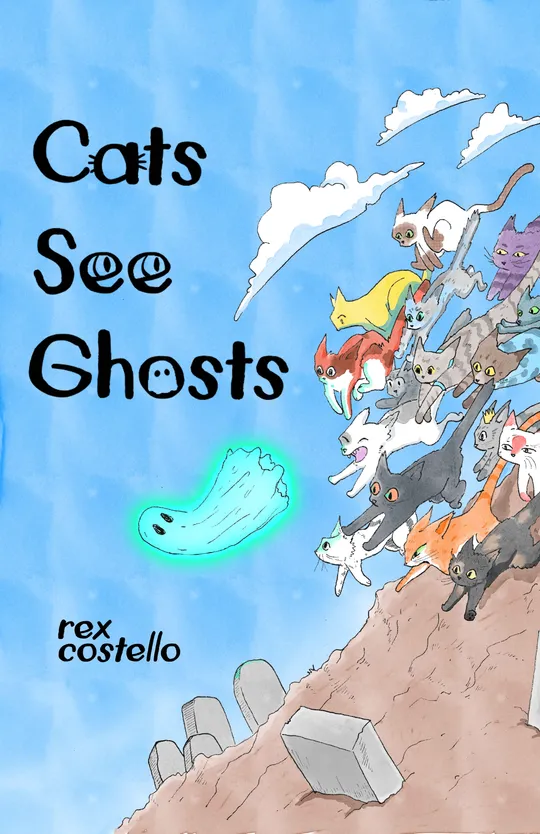 CATS SEE GHOSTS
