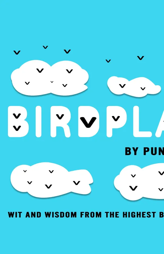 Birdplay by Punchlion