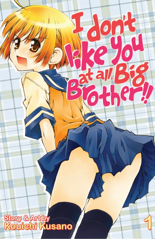 I Don't Like You At All, Big Brother!!