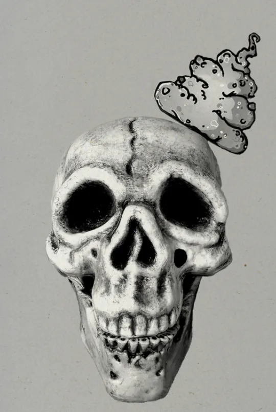 Shit Skull