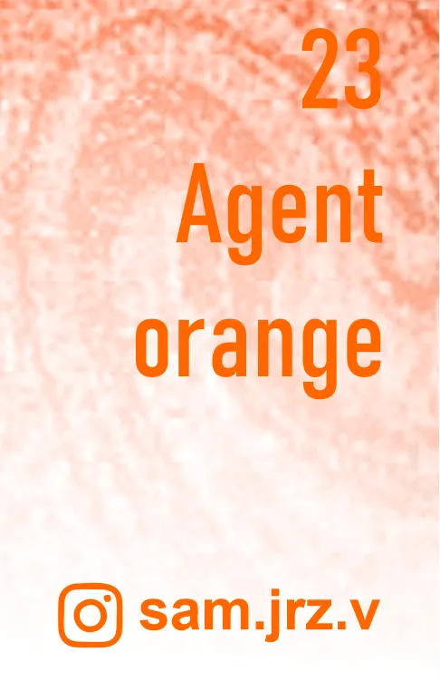 Orange Hilbert's girls