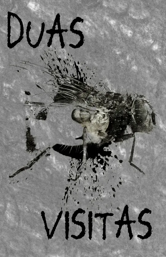 Duas Visitas/Two Visits