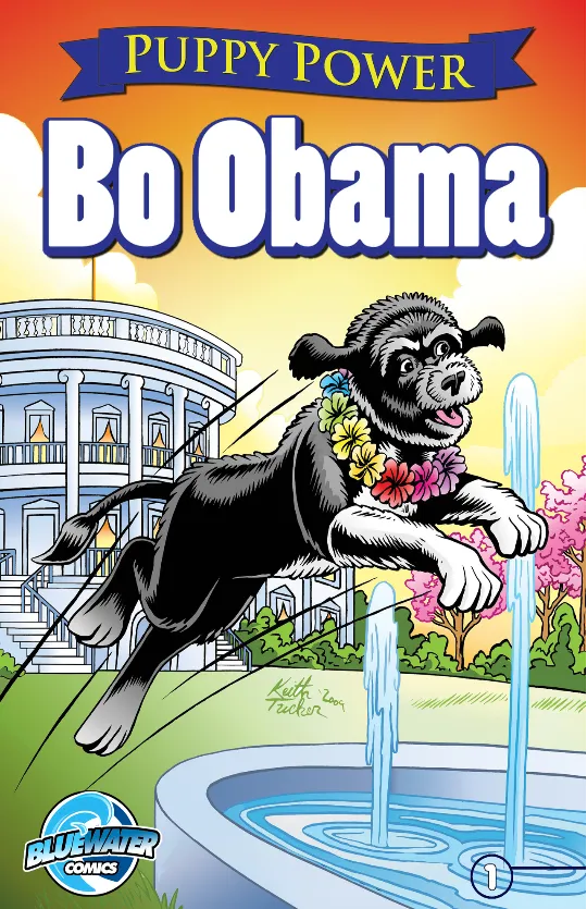 Bo Obama