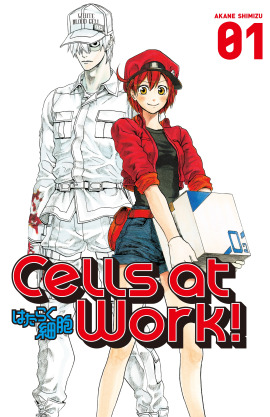 Cells at Work!