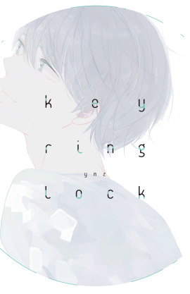 Key Ring Lock