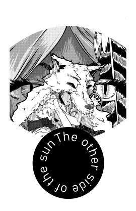 The Other Side of The Sun