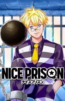 Nice Prison