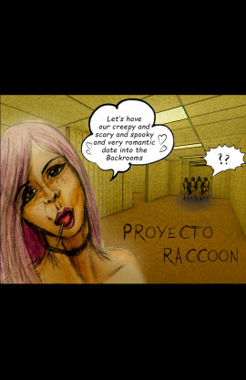 Raccoon Proyect