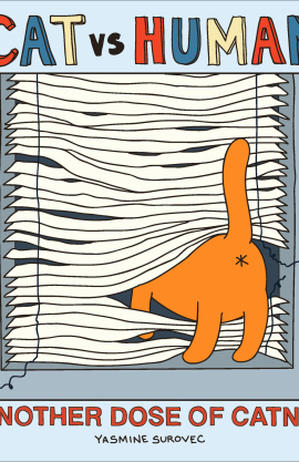 Cat vs Human