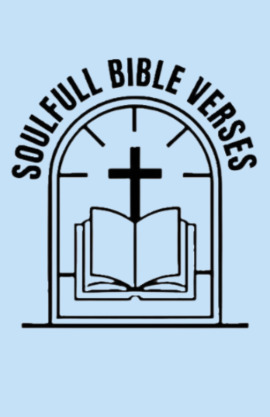 Bible Story's