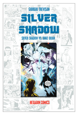 SILVER SHADOW