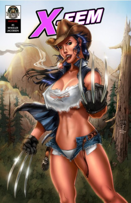 X-FEM