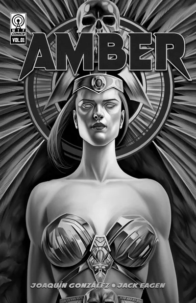Cover image for AMBER