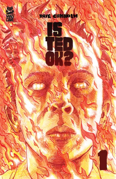 Cover image for Is Ted OK?