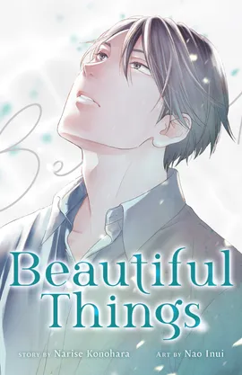 Beautiful Things: The Complete Manga Collection