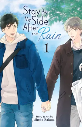 Stay By My Side After the Rain