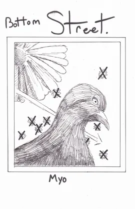 Bottom Street
