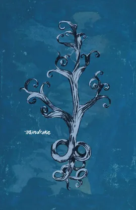 Mandrake