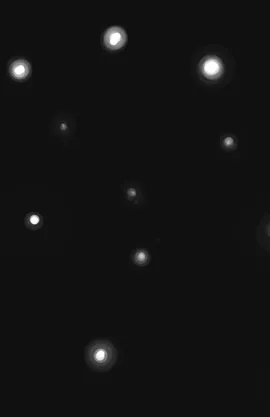 The Void (one shot) 