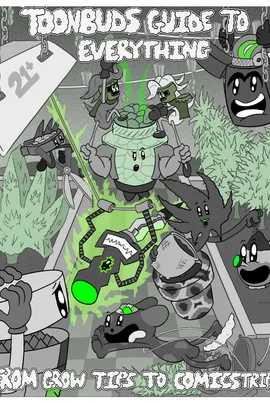 ToonBuds Guide to Everything