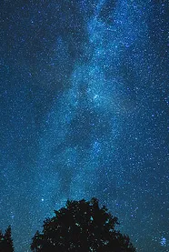 Wei: The Comic Series