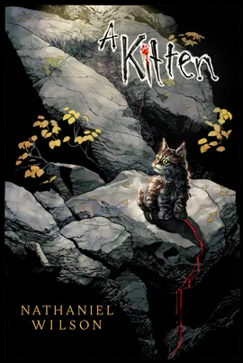 A Kitten